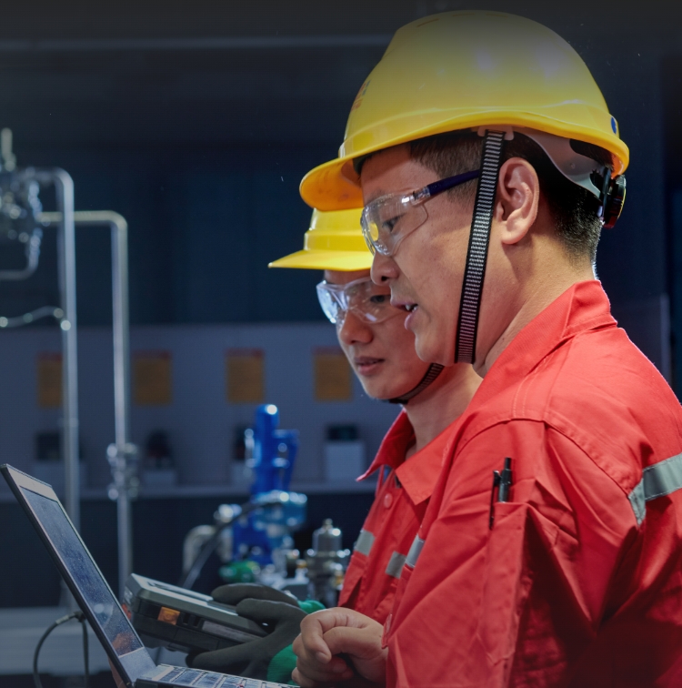 Six Service Capabilities