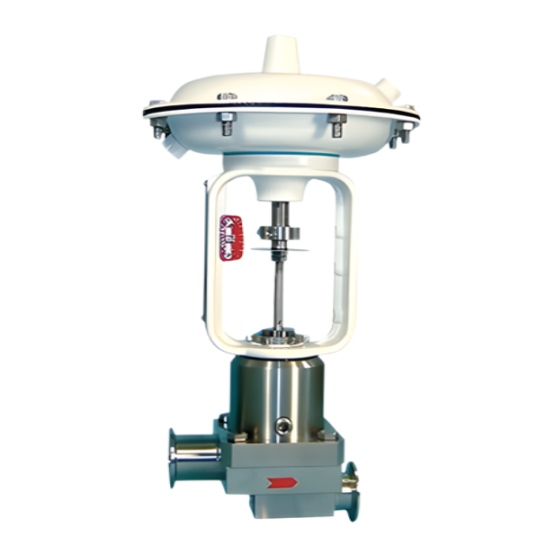 Baumann™ 83000 Sanitary Angle Control Valve