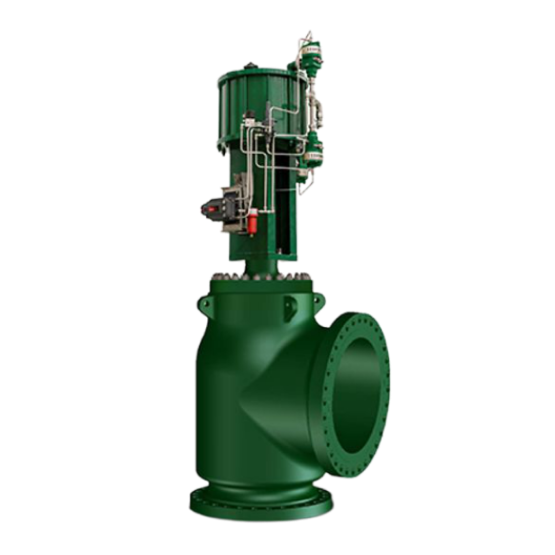 FISHER™ FB Angle Valves